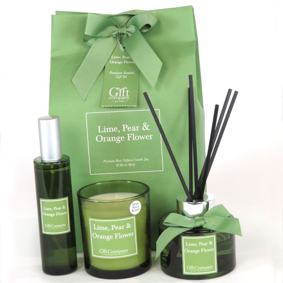 gift company Colour Premium Gift Bag Set-LimePear&OrangeFlower