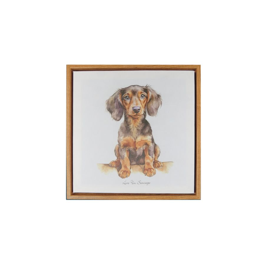 gift company Canvas - Daschund