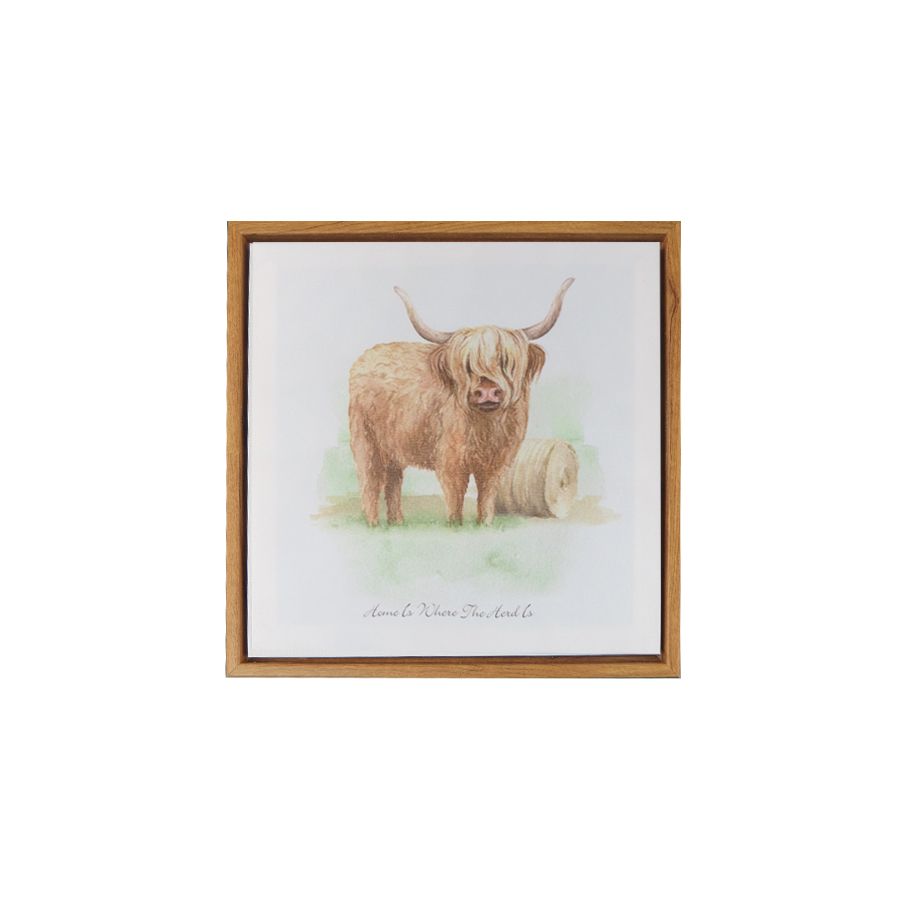gift company Canvas - Highland Cow