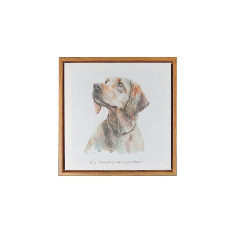 gift company Canvas - Labrador