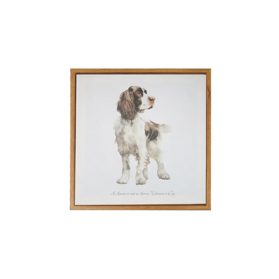 gift company Canvas - Springer Spaniel
