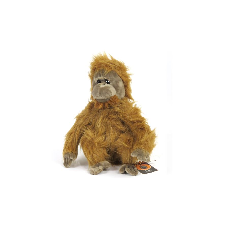gift company Cuddly Orangutan