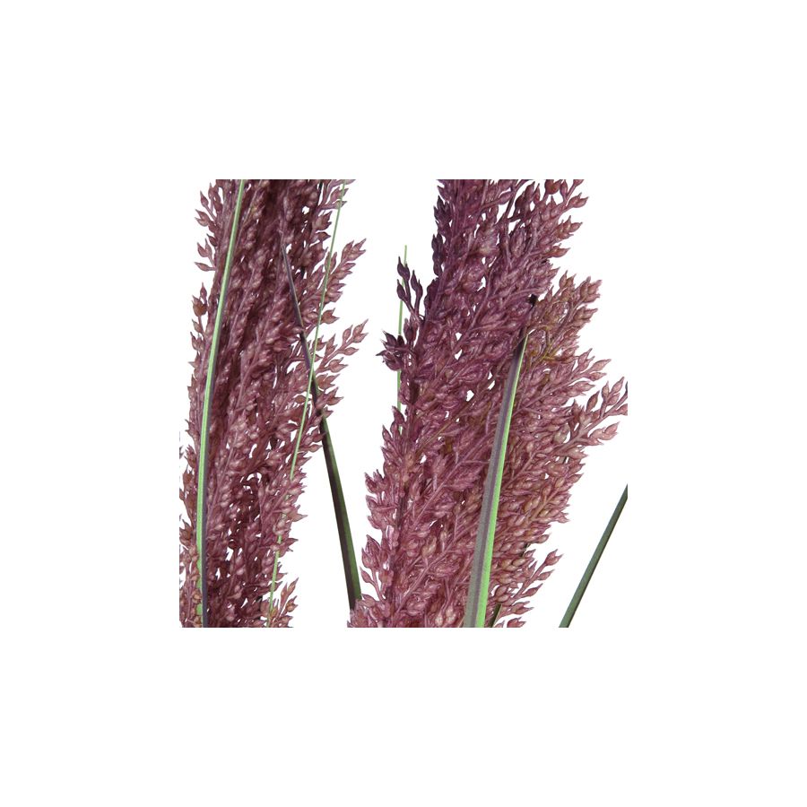 gift company Grain grass 36"H with Pot