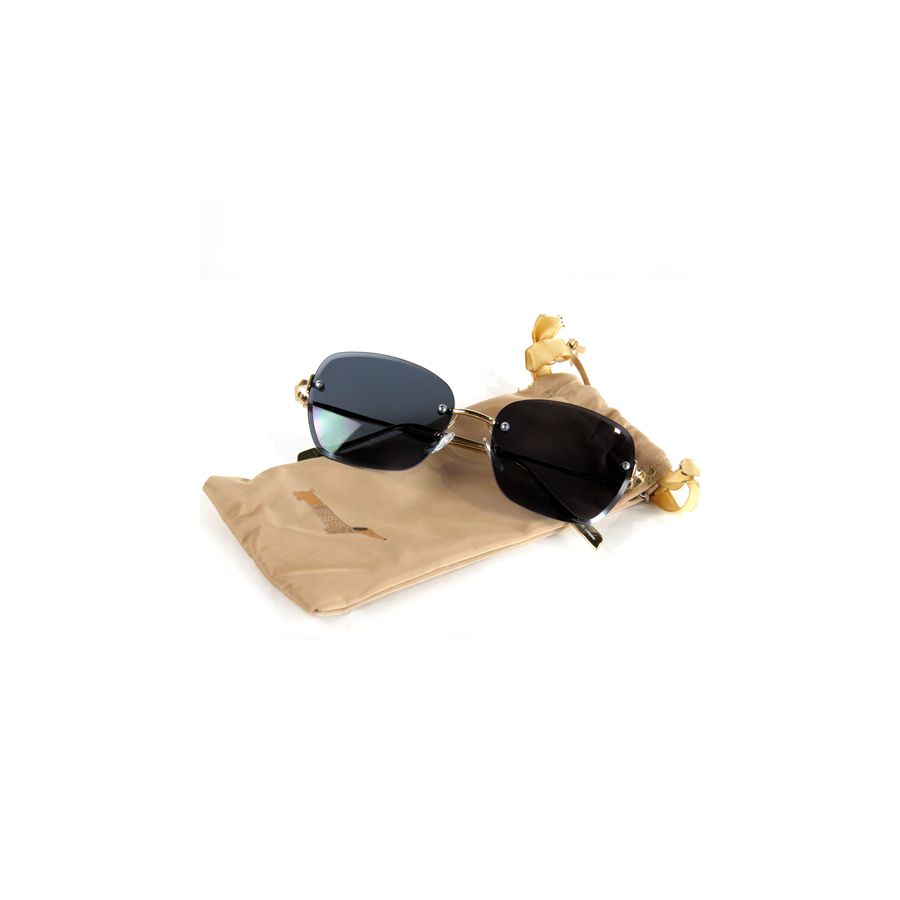 gift company Sunglasses & Case -Brown