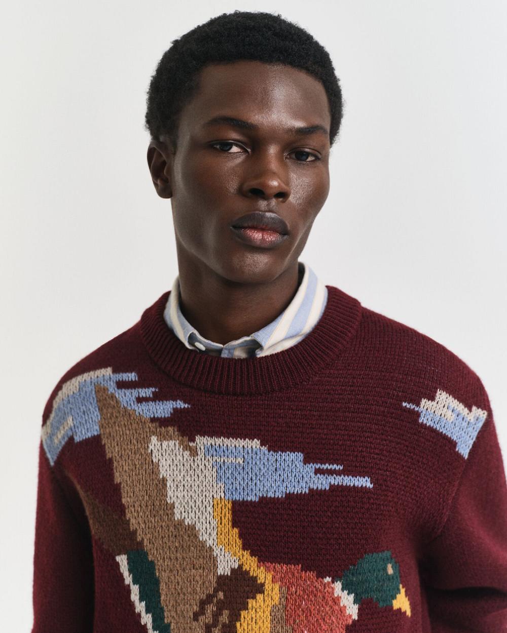 Gant Bird Graphic Crew Neck Sweater Plumped Red