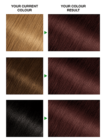 Garnier Nutrisse Crème Garnier Nutrisse 5.25 Ultra Chestnut Brown Permanent Hair Dye