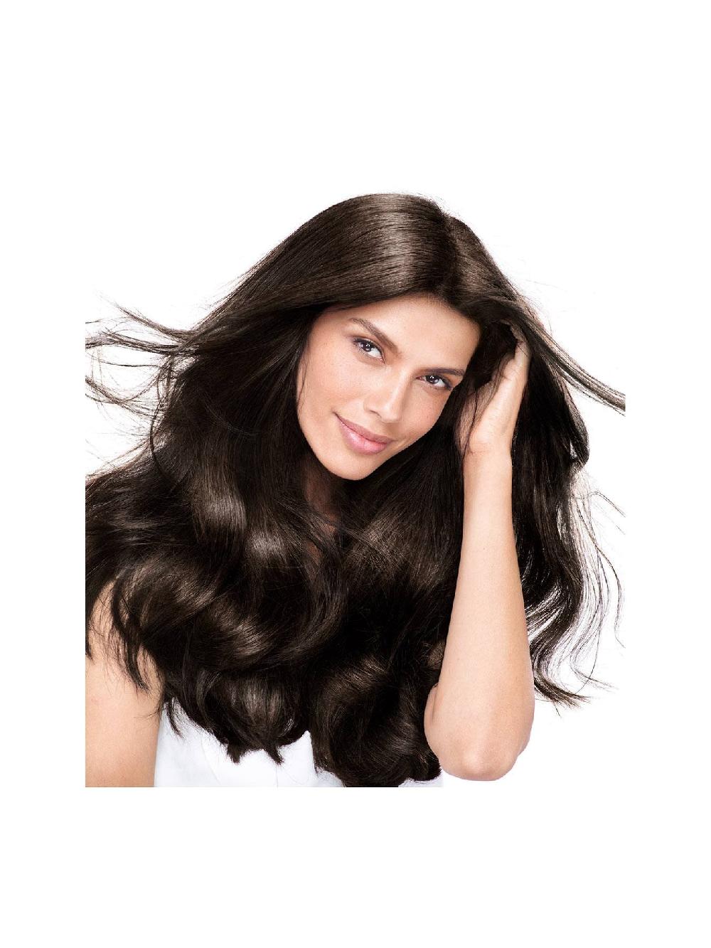 Garnier Nutrisse Crème Garnier Nutrisse 6.3 Golden Light Brown Permanent Hair Dye