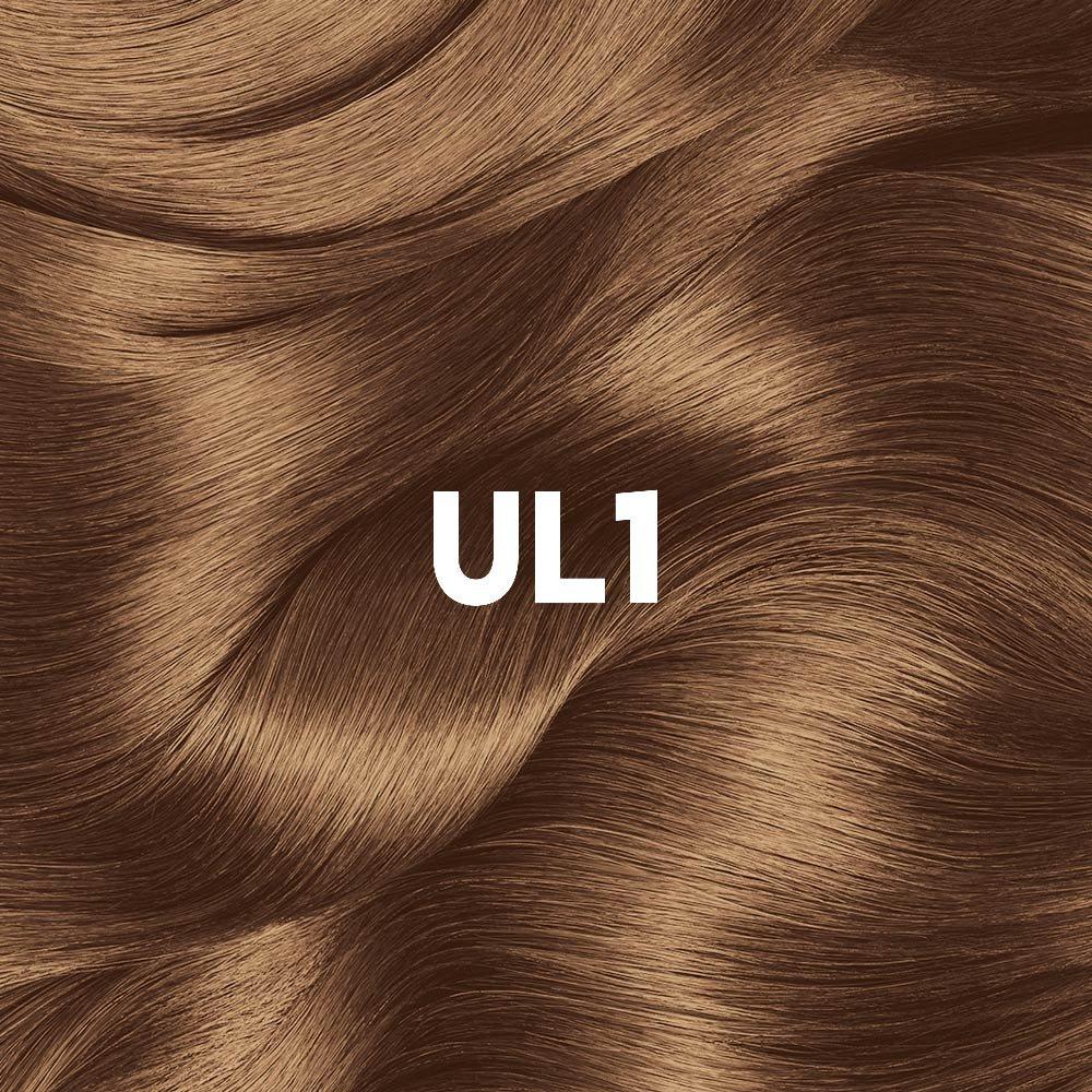 Garnier Nutrisse NUTRISSE BLONDE LIFT UL1 Chestnut Blonde