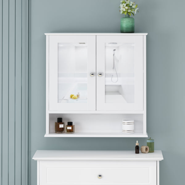 Gdf Studio Dillyn Contemporary 2 Door Mirror Medicine Cabinet