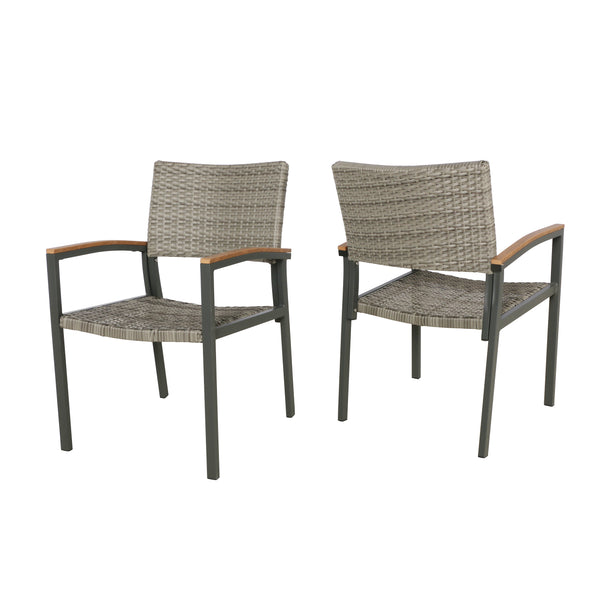 gdf studio Emma Outdoor Wicker Dining Chair with Aluminum Frame (Set of 2)