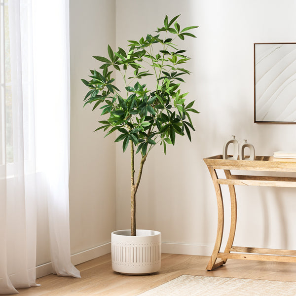 Gdf Studio Coles Artificial Money Tree