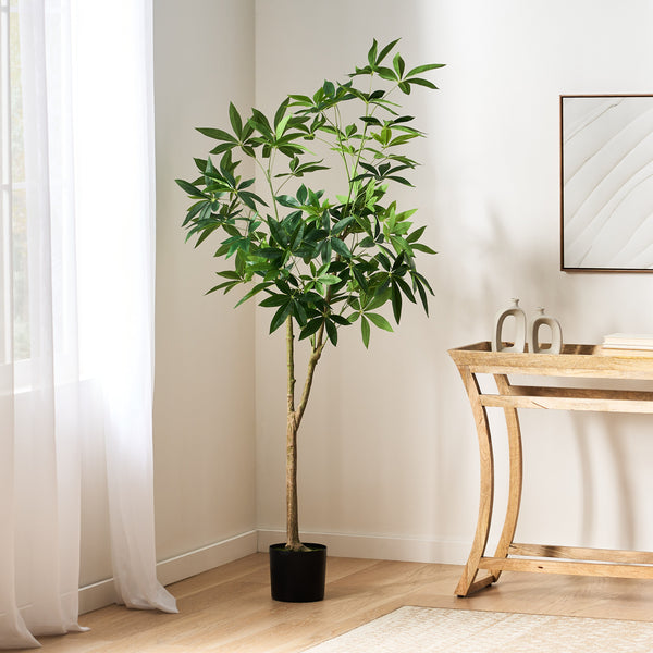 Gdf Studio Coles Artificial Money Tree