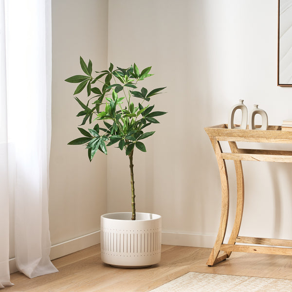 gdf studio Coles Artificial Money Tree