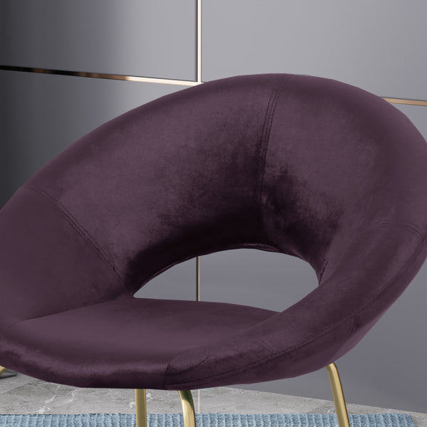 Gdf Studio Denise Modern Glam Velvet Accent Chair