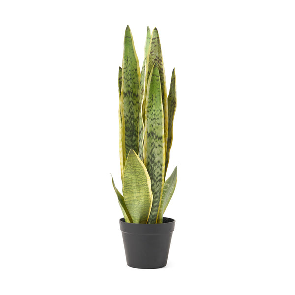 Gdf Studio McClure Artificial Tabletop Snake Plant