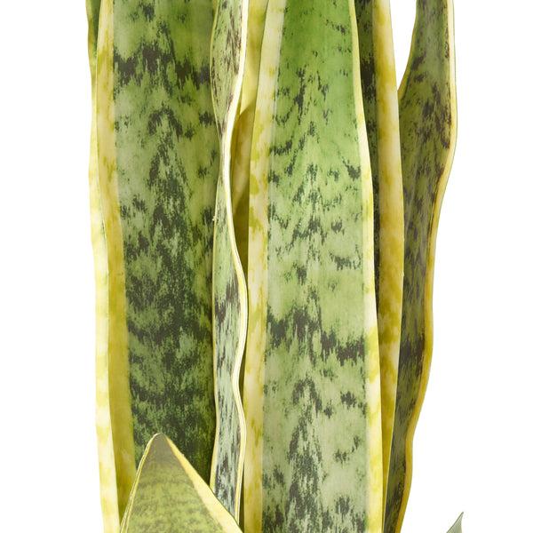 Gdf Studio McClure Artificial Tabletop Snake Plant