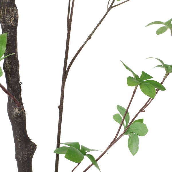 Gdf Studio Monadnock Artificial Enkianthus Tree