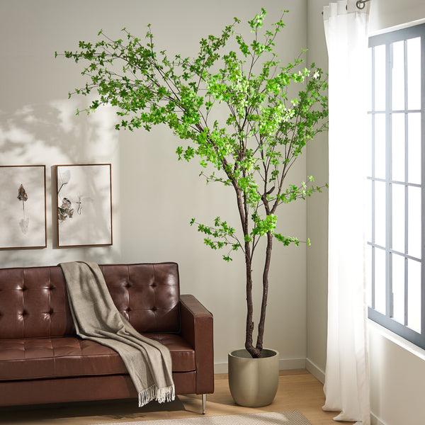 gdf studio Monadnock Artificial Enkianthus Tree