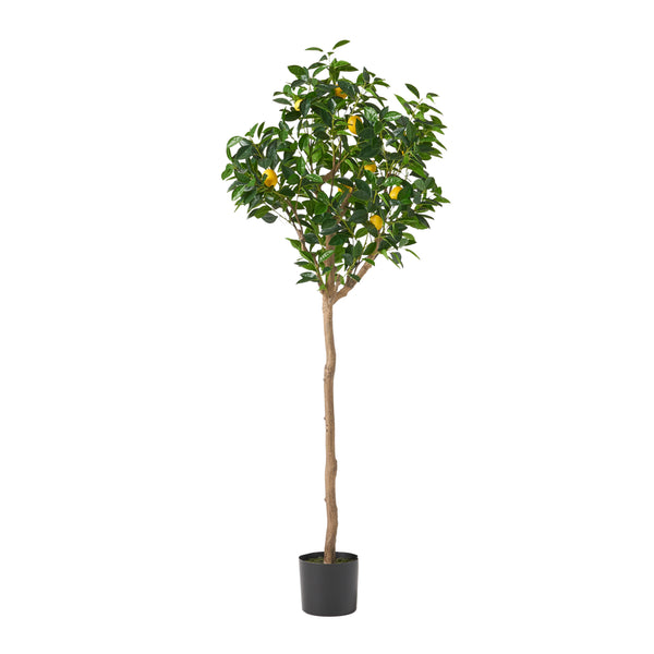 Gdf Studio Rattler Artificial Lemon Tree