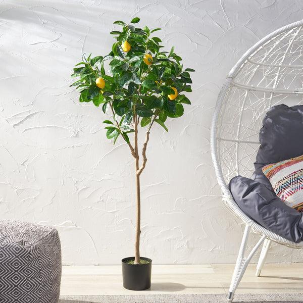 gdf studio Rattler Artificial Lemon Tree
