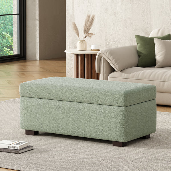 Gdf Studio Hopehorizon Rectangle Chenile Solid Wood Storage Ottoman Chenille