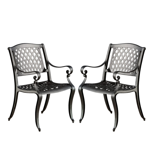 gdf studio Marietta Outdoor Cast Aluminum Dining Chair (Set of 2)