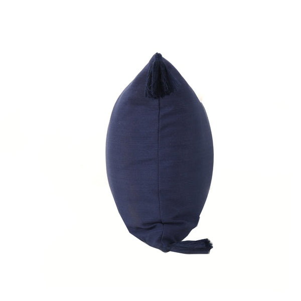 gdf studio Noble Traditional Square Fabric Throw Pillow with Tassel Accents