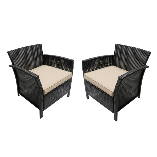 gdf studio Tori Outdoor Wicker Club Chairs with Water-Resistant Cushions (Set of 2)