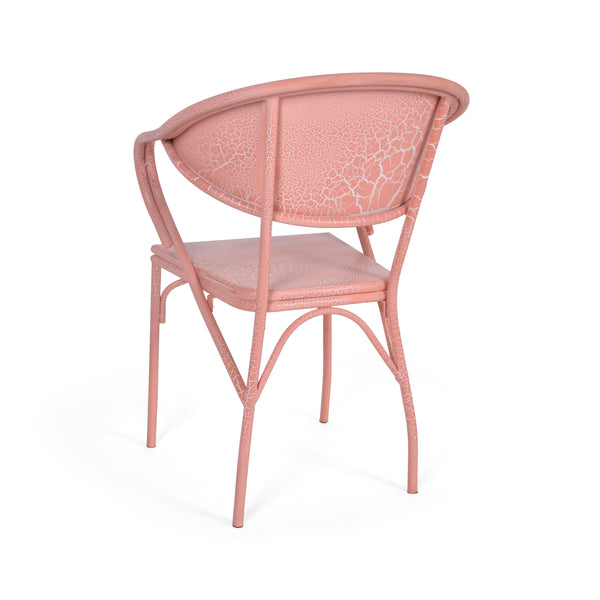 Gdf Studio Warren Desert Outdoor Modern Dining Chair (Set Of 2)