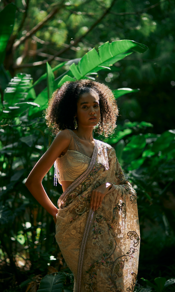 Geisha Designs Anaita Saree