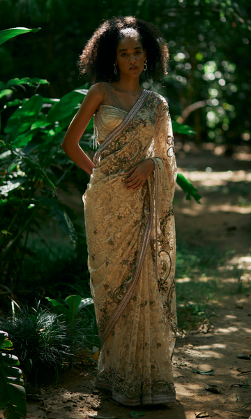 geisha designs Anaita Saree