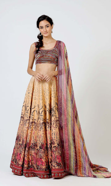 Geisha Designs Aster Delicate Lehenga Set