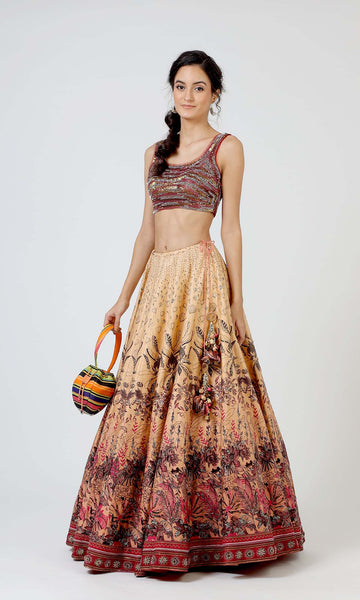 Geisha Designs Aster Delicate Lehenga Set