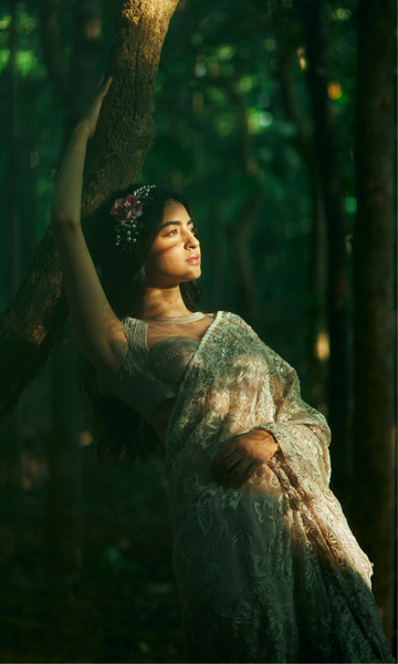 Geisha Designs Dina Saree