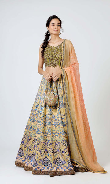 Geisha Designs Olivia Paisley Delicate Embroidered Lehenga Set