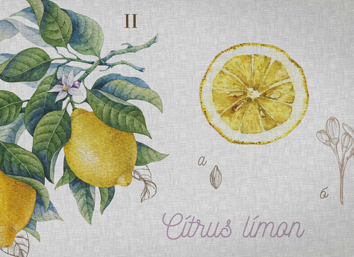 Gelpro GelPro Elite Mat Botanical Lemon