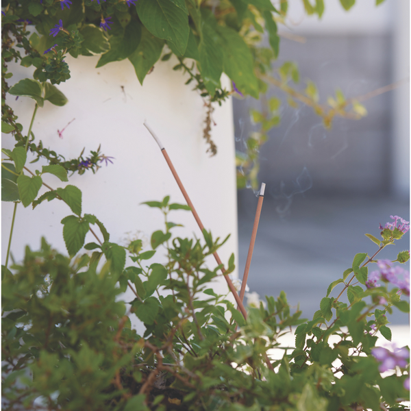 Gentlemen's Hardware Garden Incense And Holder