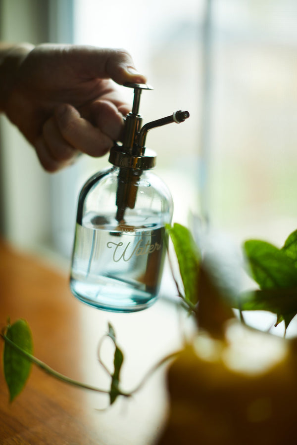 Gentlemen's Hardware Glass Plant Mister