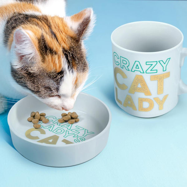 Genuine Fred CERAMIC MUG + CAT BOWL SET Crazy Cat Lady