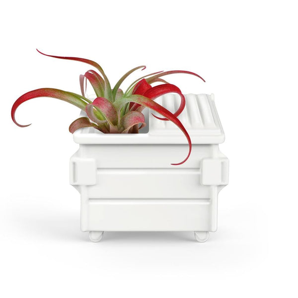 genuine fred FANCY PLANTS - Dumpster Air Plant Holder