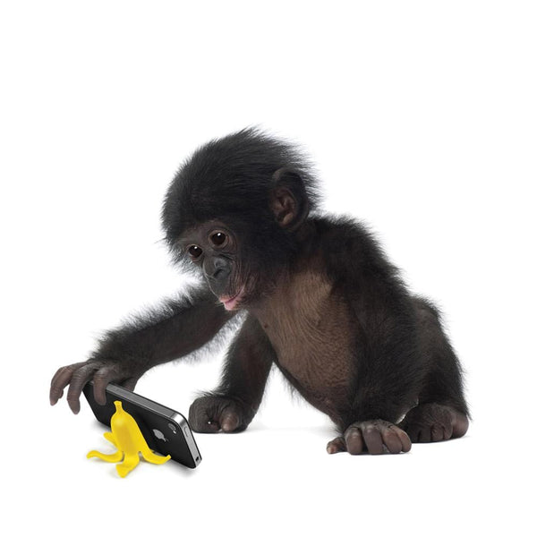 Genuine Fred BANANA STAND Phone Stand