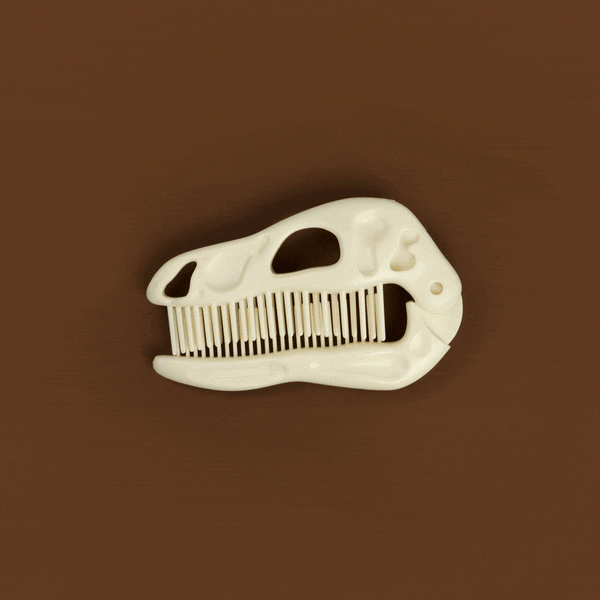 Genuine Fred BONEHEAD Comb And Brush