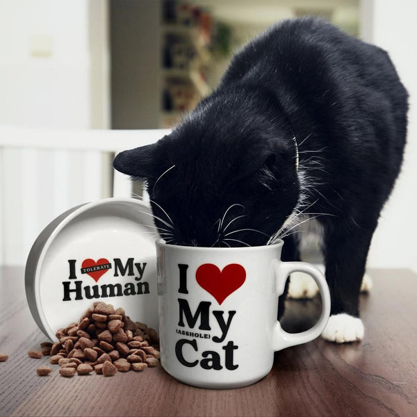 Genuine Fred CERAMIC MUG + CAT BOWL SET Love My Cat