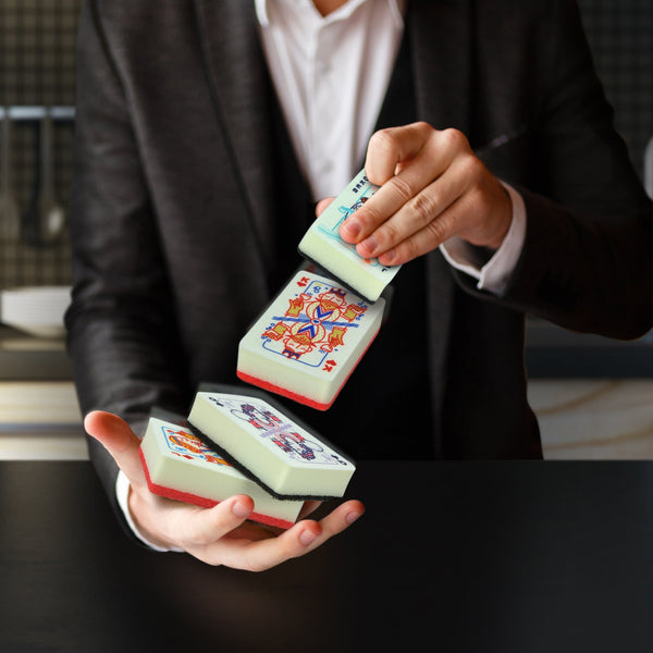 Genuine Fred CLEAN HOUSE Sponges