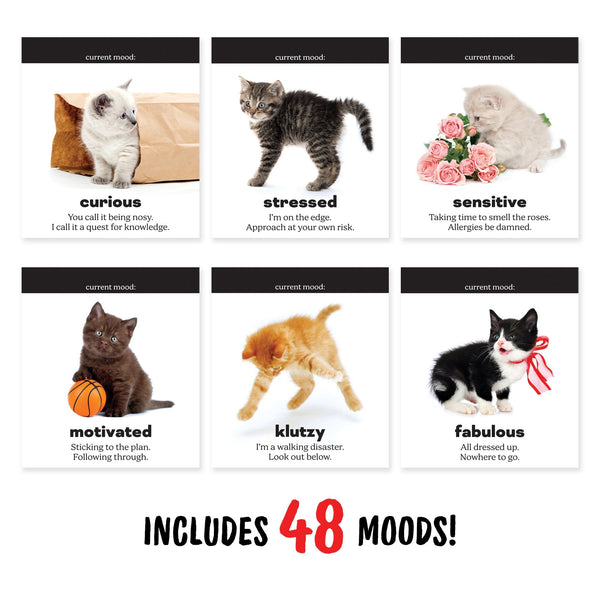 Genuine Fred DAILY CATTITUDES Desktop Flip Book