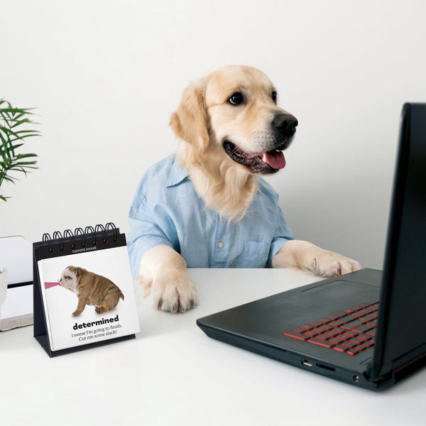 Genuine Fred DAILY DOGGO Desktop Flip Book