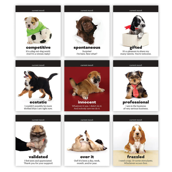 Genuine Fred DAILY DOGGO Desktop Flip Book