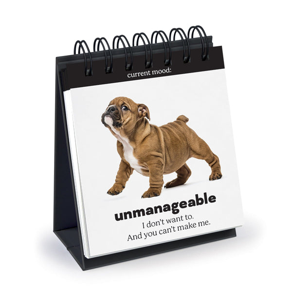 genuine fred DAILY DOGGO Desktop Flip Book