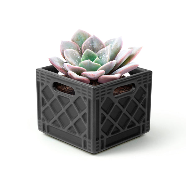 Genuine Fred FANCY PLANTS - Milk Crate Planter