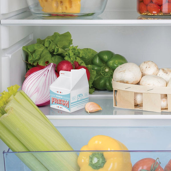 Genuine Fred FRESH PINT Fridge Deodorizer